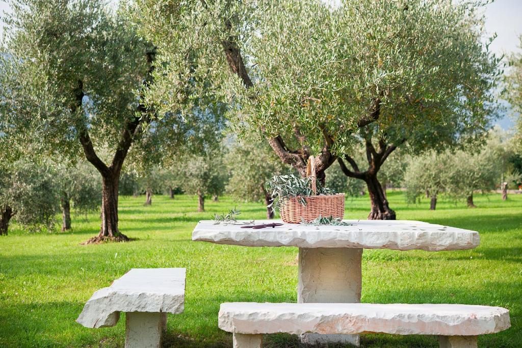 Olea Dei Holiday Apartments San Felice del Benaco Zewnętrze zdjęcie