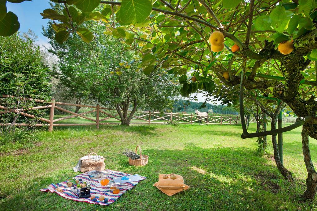 Olea Dei Holiday Apartments San Felice del Benaco Zewnętrze zdjęcie