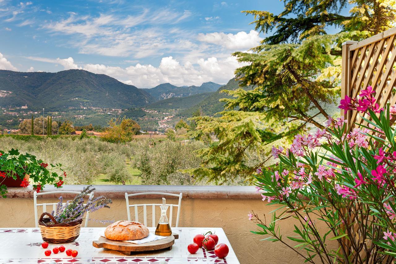 Olea Dei Holiday Apartments San Felice del Benaco Zewnętrze zdjęcie