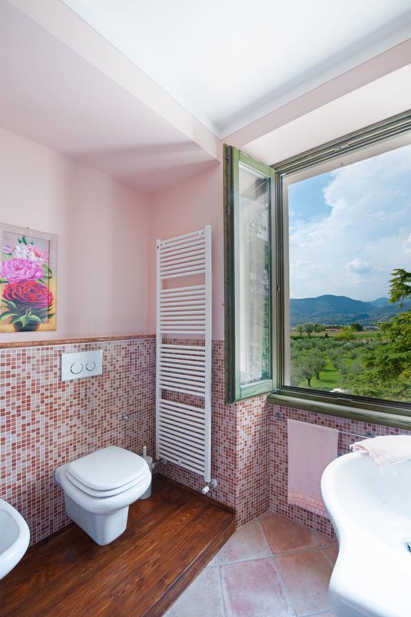 Olea Dei Holiday Apartments San Felice del Benaco Zewnętrze zdjęcie